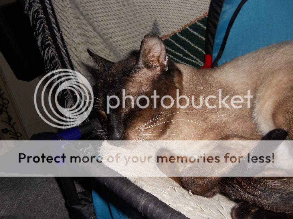 DSCN3367.jpg