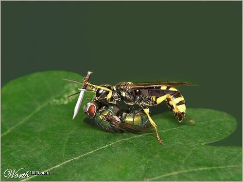 image017.jpg