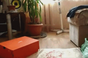 gif_04.gif