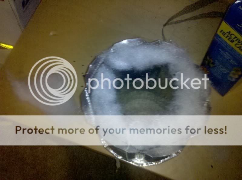 2010-03-05185443.jpg