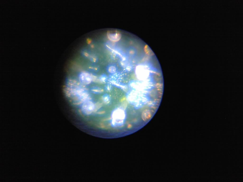 IMG00043.jpg