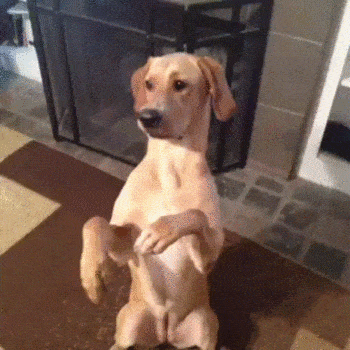 1663768257_25.gif