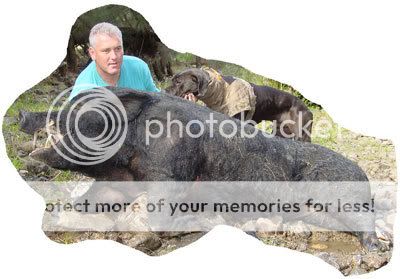 200kgboar030.jpg