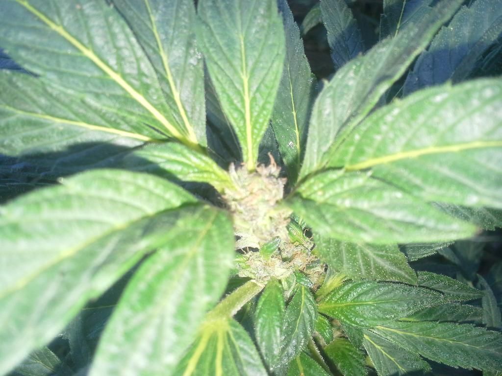 20140617_080711.jpg