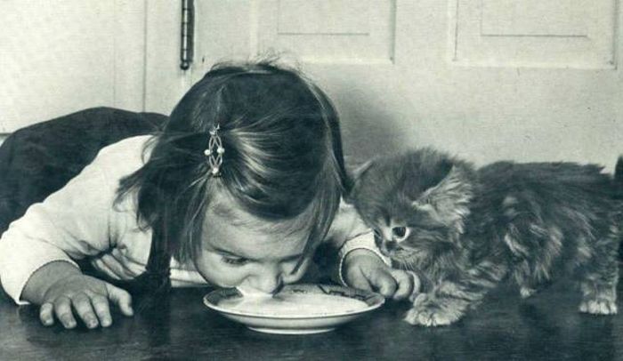acid_picdump_18.jpg