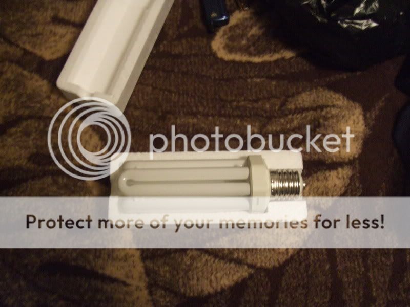DSCF2271.jpg