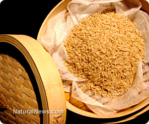 Wild-Brown-Rice-Container.jpg