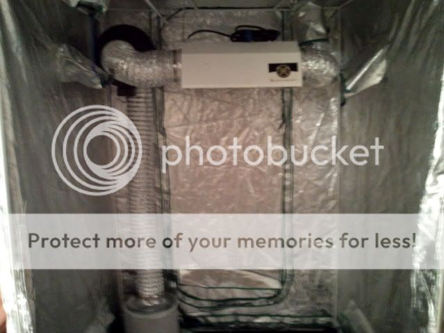 2010-12-22022506.jpg