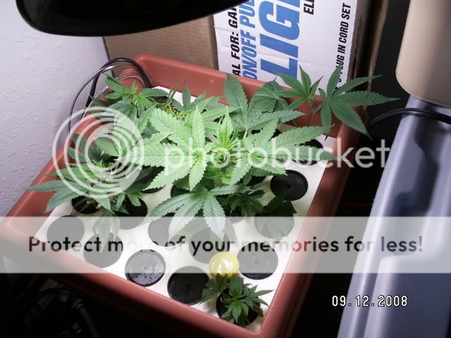 PICT0422.jpg