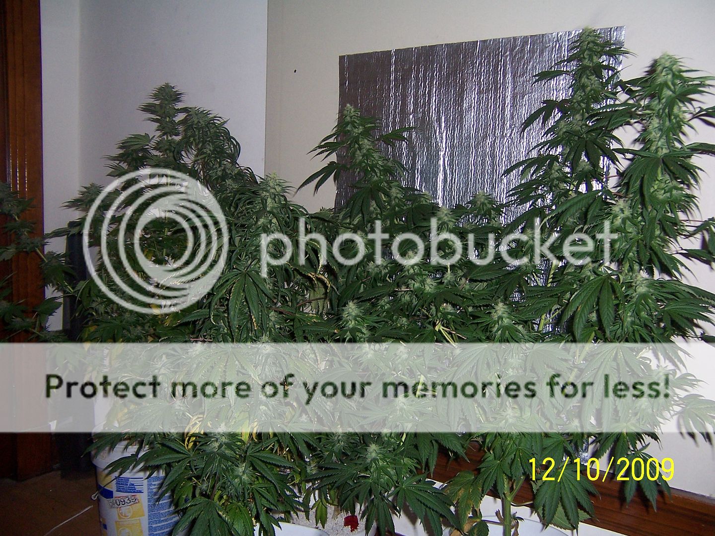 100_2396.jpg