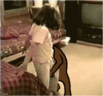 DogLegHumpPedoBear.gif