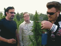 tumblr_mhcokwLdf21qlrqkno1_250.gif