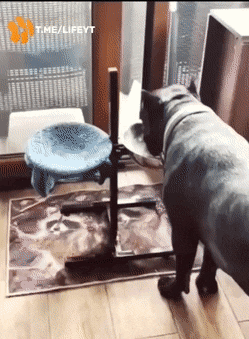 1663605061_14.gif