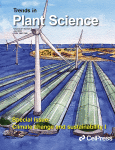 www.sciencedirect.com