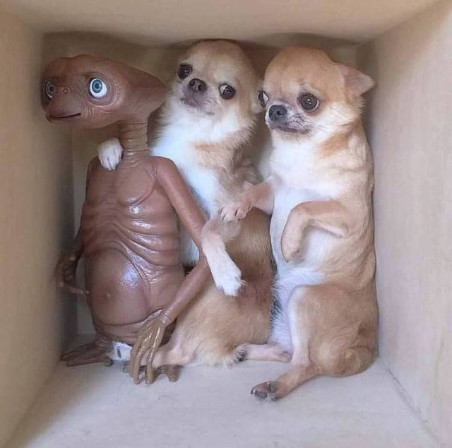 acid_picdump_06.jpg
