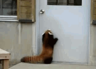 gifs_03.gif