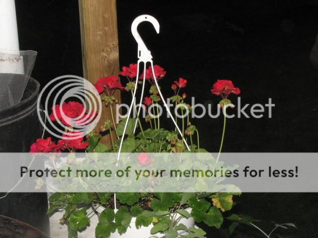 IMG_2062.jpg