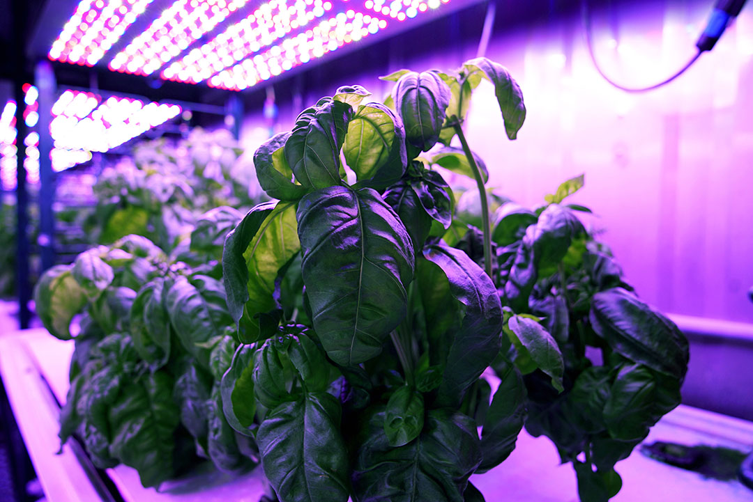 www.futurefarming.com