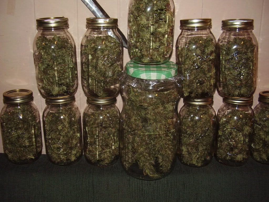 justinthejar005.jpg
