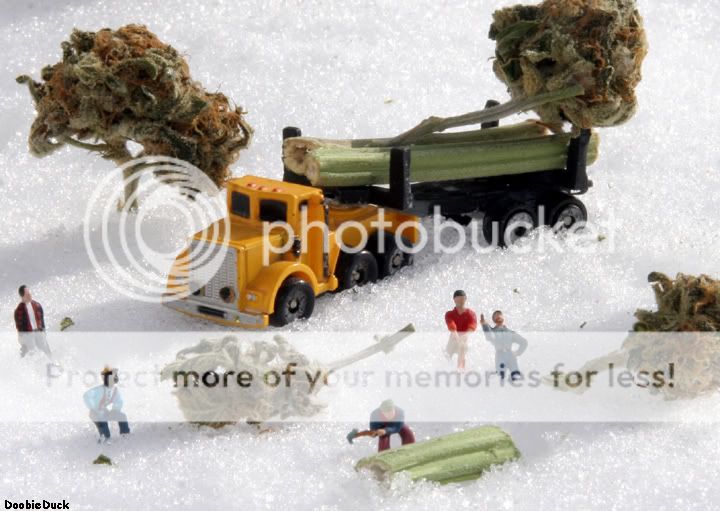 treechoppin.jpg