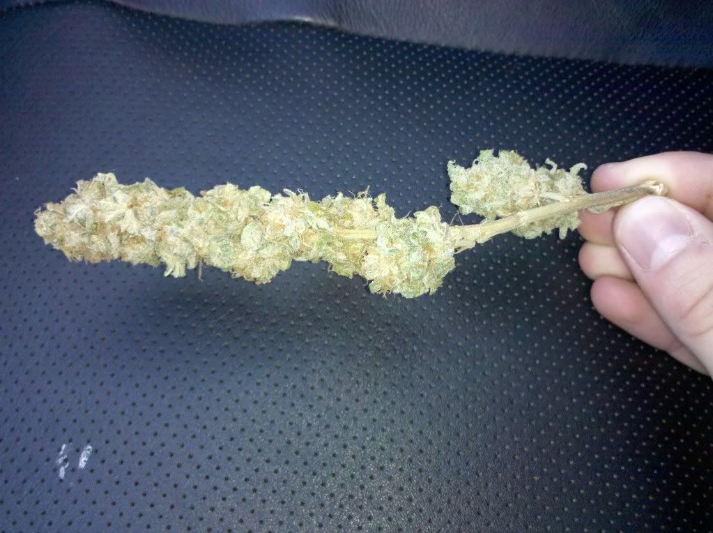 1-15-112.jpg