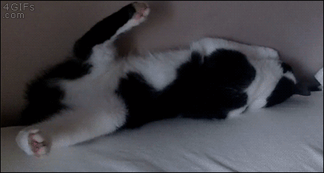 gifs_11.gif