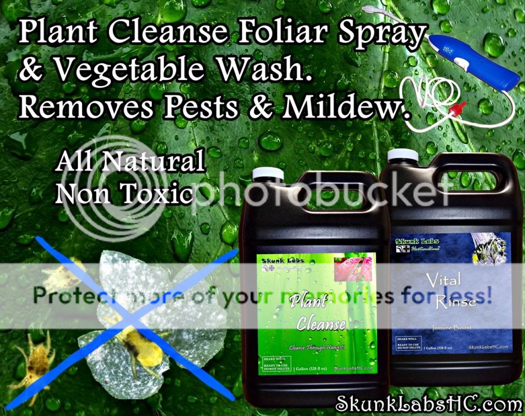 FoliarSprayad1280x1015_zps0900f0ca.jpg