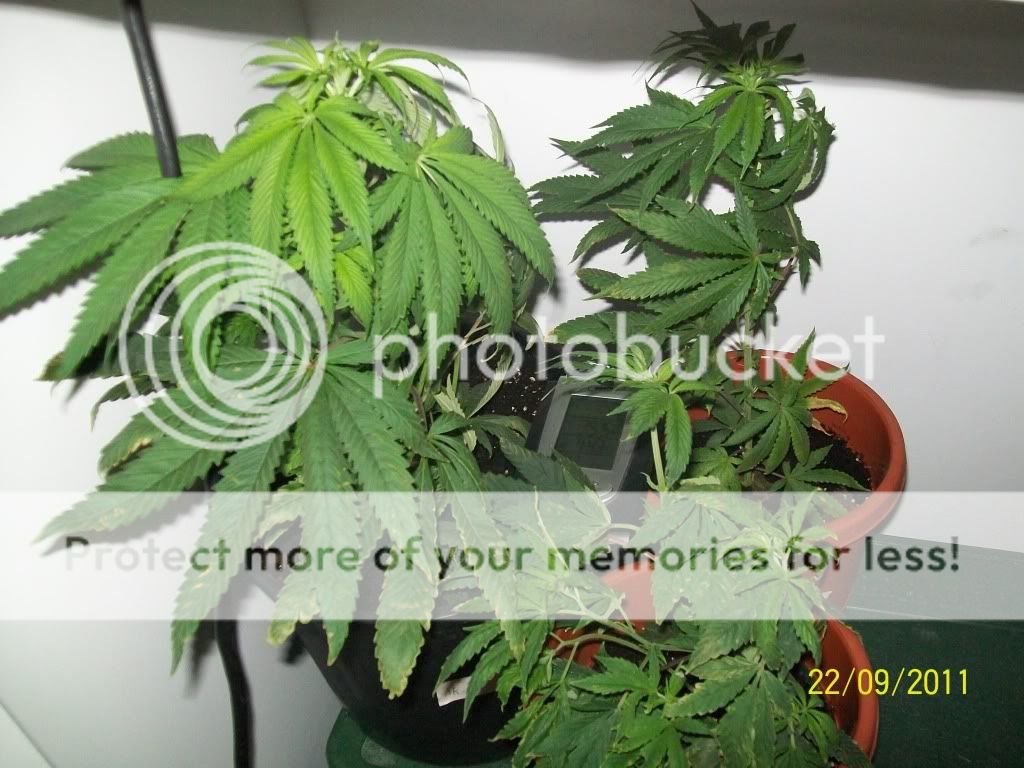 Photo-4.jpg