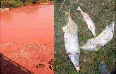 congopollution.jpg