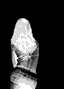 th_36.gif