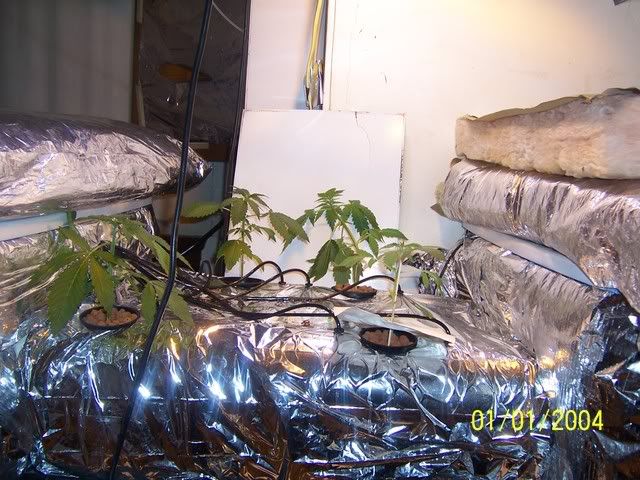 000_2372.jpg