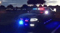 200w.gif