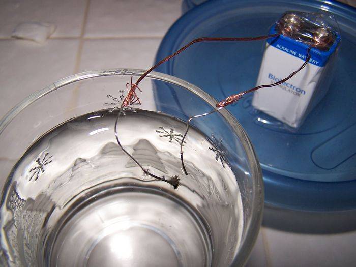 26313100_1037.jpg