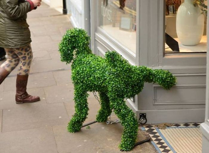acid_picdump_30.jpg