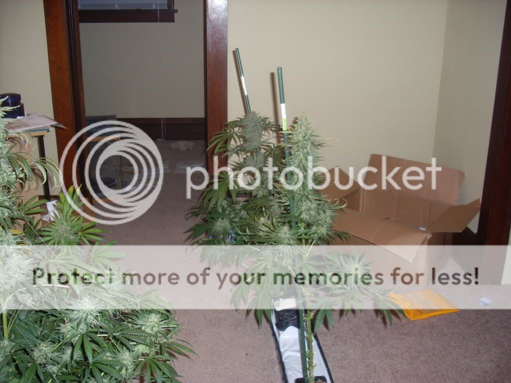 Picture280.jpg