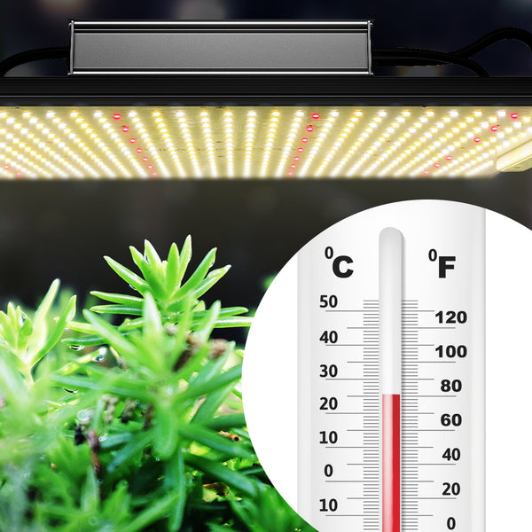 temperature affecting plant growth