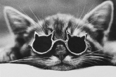 tumblr_m4nacs95pJ1r986pmo1_500.jpg