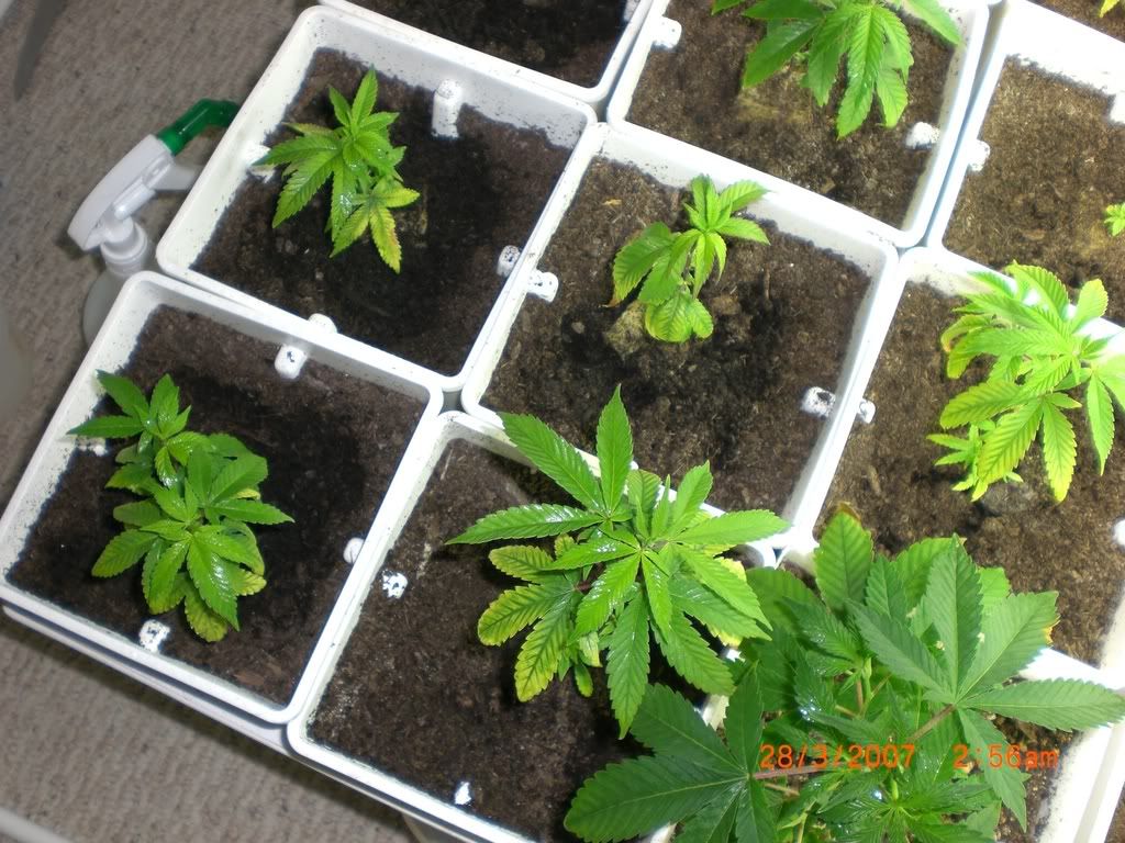 Day26-7.jpg