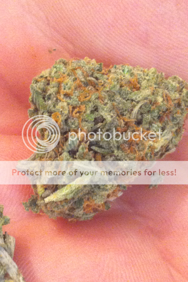 sourkush.png