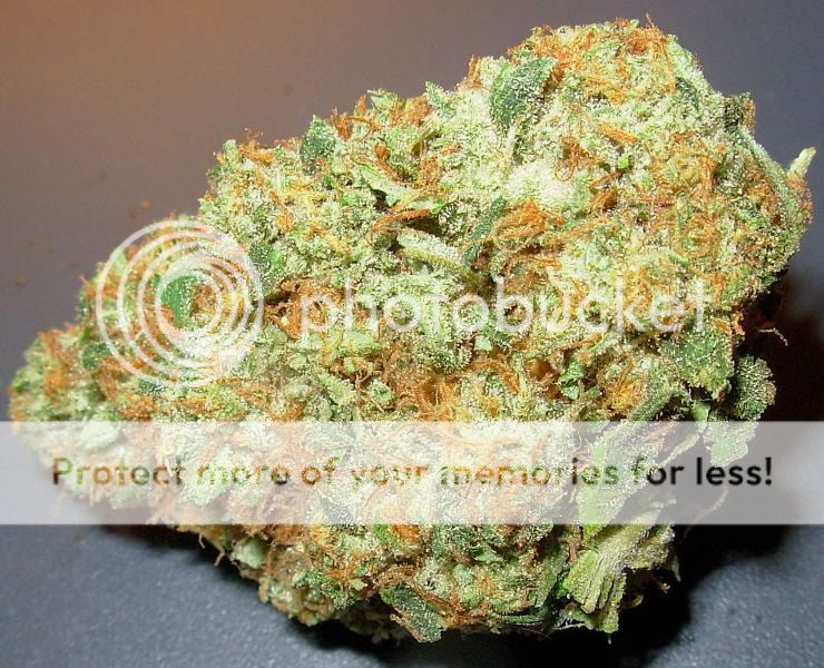 fireog.jpg