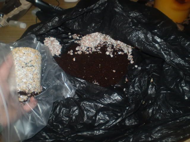 PB130238.jpg