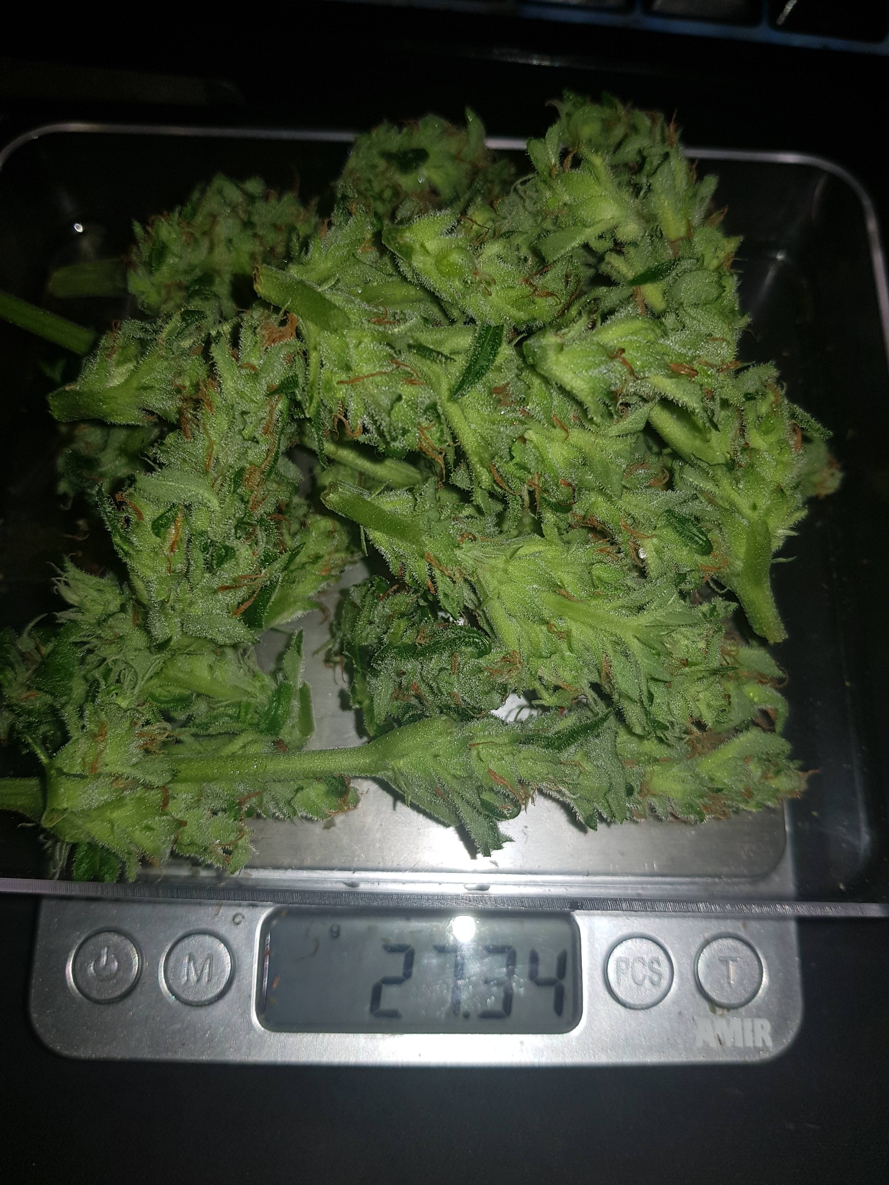 g6M13MW.jpg