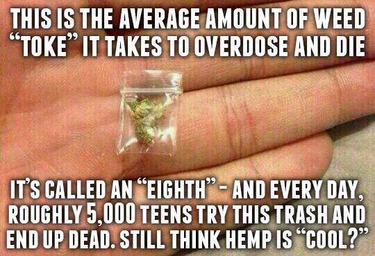 tumblr_n3lbl2Rr351sh7htzo1_1280.jpg