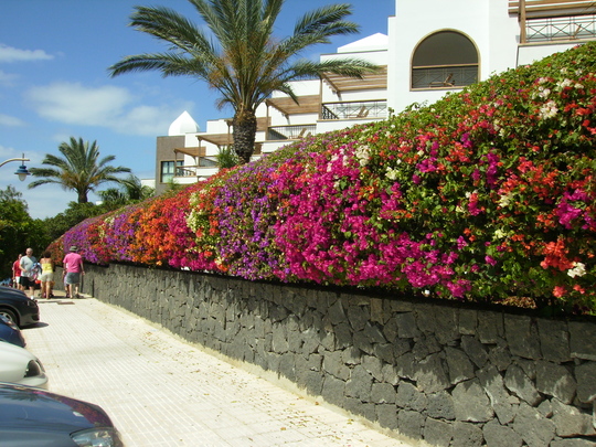 Lanzarote_June_2010_003.jpg