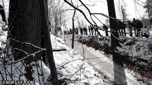 gifs_25.gif