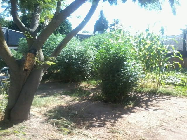 120723_004.jpg