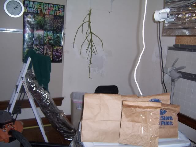 000_3369.jpg