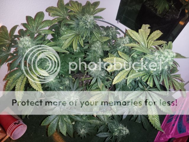 20121228_074134.jpg