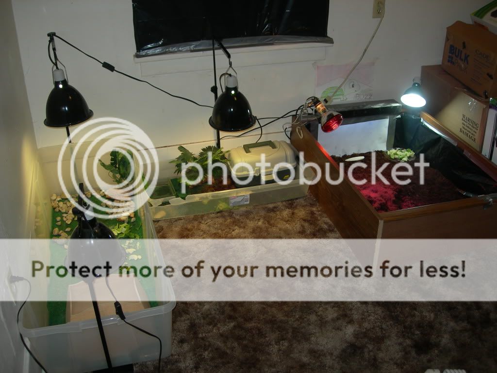 DSCN8986.jpg