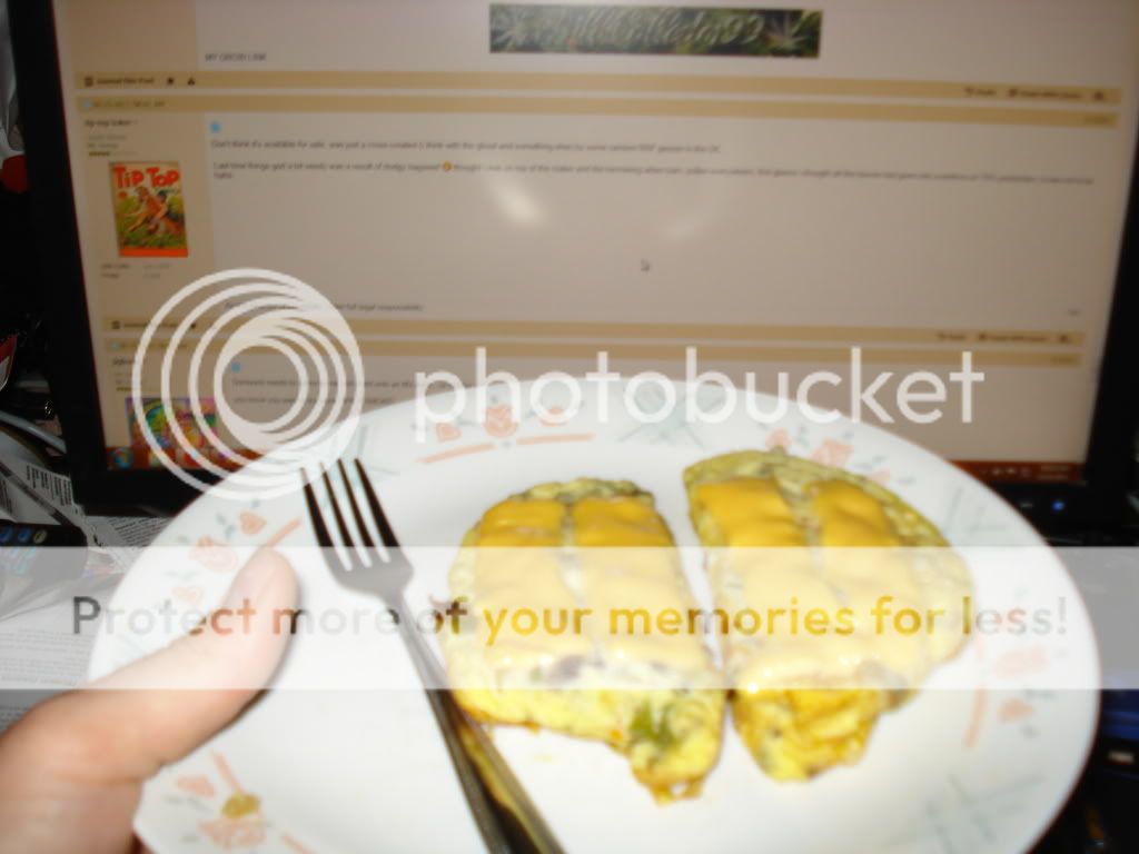 DSC04434-1.jpg